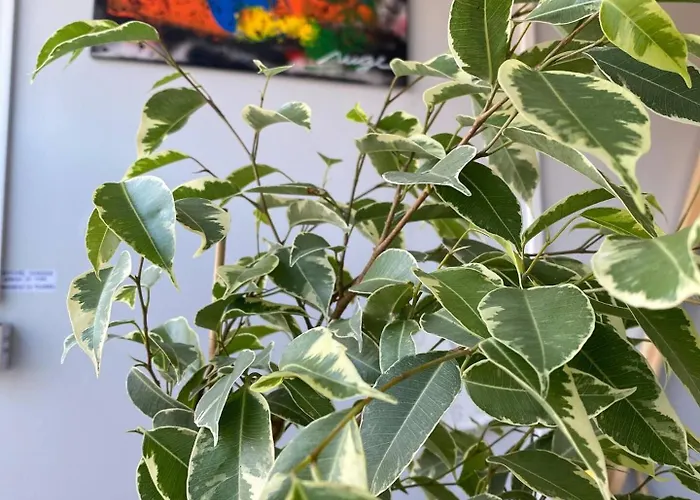 & Cozy Artistic Loft - Walk Everywhere